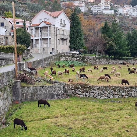 Casa Da Cantareira Loriga Esterno foto