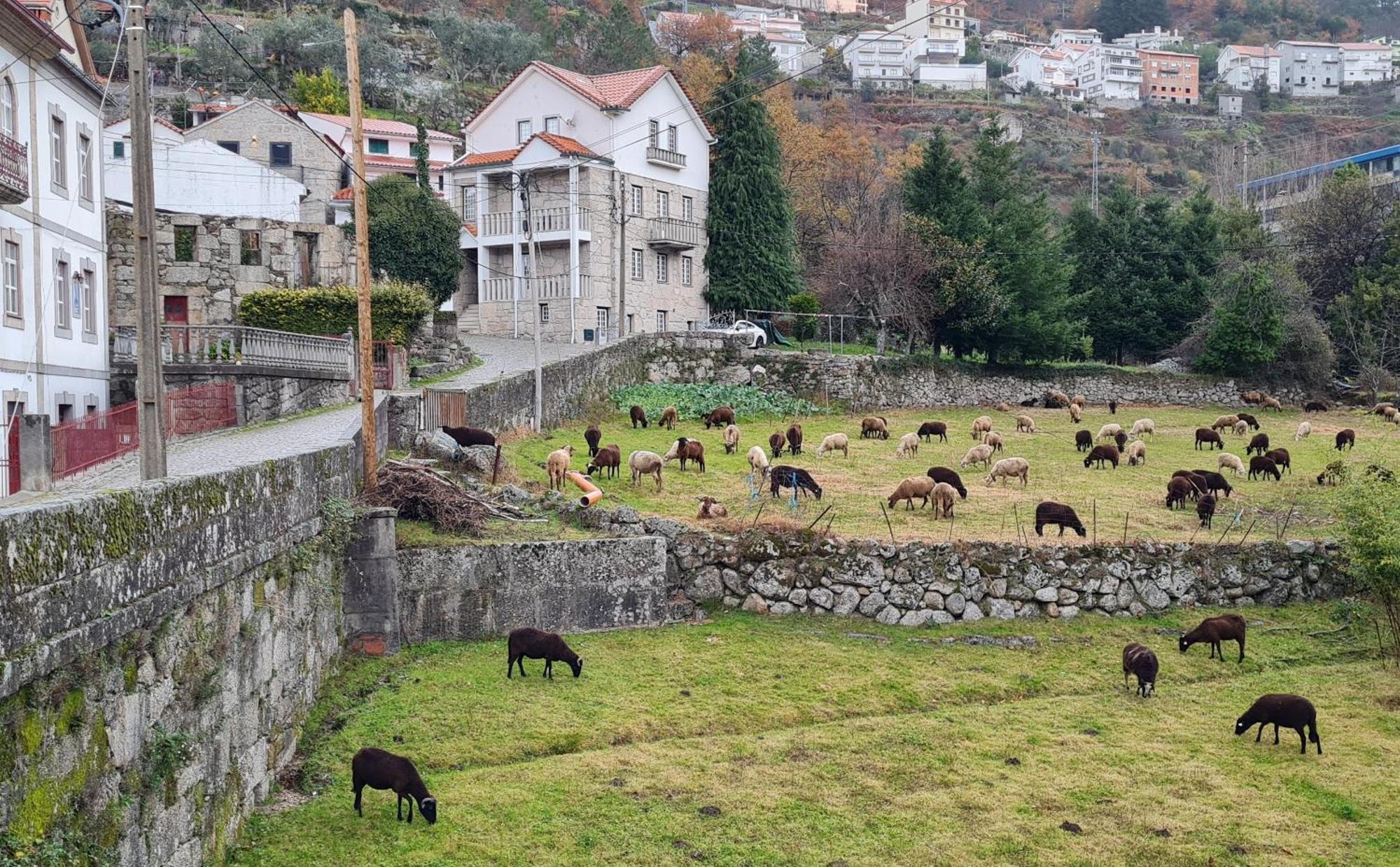 Casa Da Cantareira Loriga Esterno foto